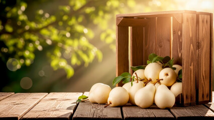 A white variety of ripe juicy pears on the background of an overturned wooden box in the garden.  The concept of healthy organic food.