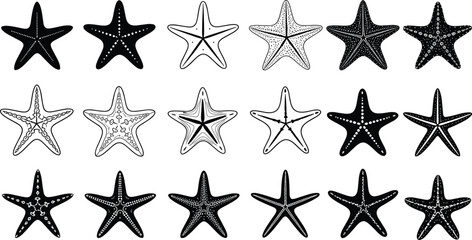 Vector starfish and sea star outline and black silhouette collection, marine life and ocean animal set for summer beach and nautical design illustration.