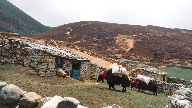 Cinematic Camera Footage of the Everest Base Camp Trek &ndash; Himalayan Trails, Culture, and Mountain Life
