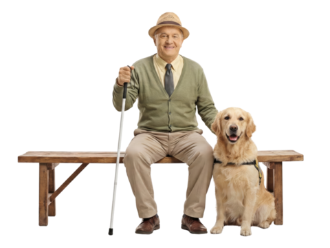 Senior man with visual impairment poses with his guide dog on a wooden bench
