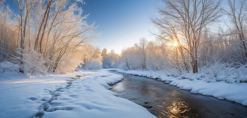 Serene winter scene with a bright sunburst shining through frost-covered trees over a calm river