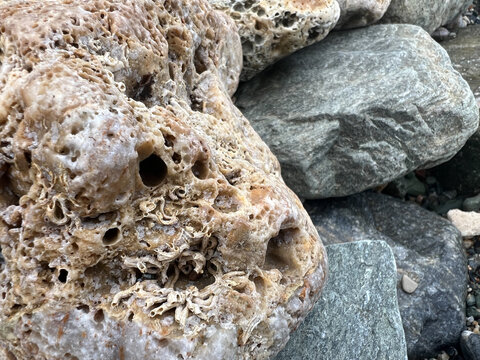 Close-up of weathered rocks with intricate textures and natural patterns on a beach - Powered by Adobe