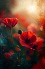 Red Poppies Bloom Under Soft Sunlight in a Vibrant Garden