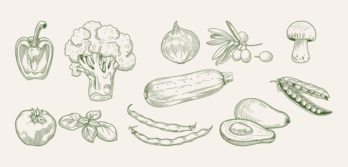 Hand-drawn vegetable set in classic engraving style featuring zucchini, beans, peas, avocado, broccoli, pepper, mushroom, basil, onion, tomatoes and olives in soft vintage tones.