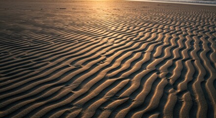 Golden sand ripples at sunrise. Sunbeams highlight intricate patterns