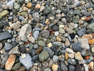 Colorful assorted rocks and pebbles in natural outdoor setting