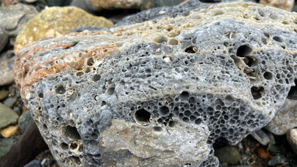 Detailed close-up of weathered porous rock with natural erosion patterns on pebble beach