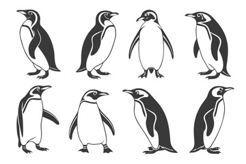 Obraz premium Eight minimalist emperor penguin icons