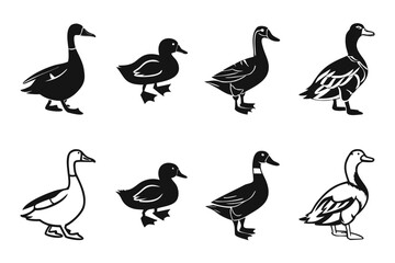 Minimalist domestic duck icon set in black yellow cyan magenta