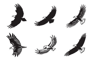 Minimalist eagle in flight icon set with bold colors