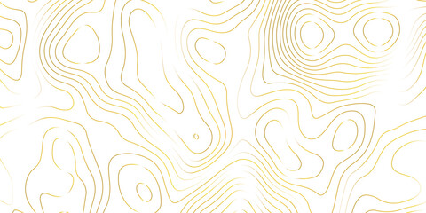 Topographic map background with geographic grid for hiking and mountain sport. luxury topographic wavy pattern and geographic grid map design. paper texture Imitation of a geographical map shades.