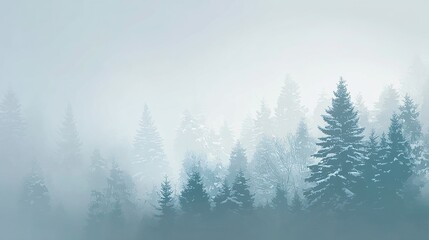 Obraz premium Winter snow scene with pine forest background, fog and sunlight, idyllic winter landscape banner design for festive christmas concept and seasonal decorative use.