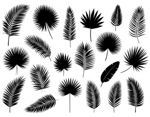 Silhouettes of diverse palm leaves isolated on white, creating a tropical aesthetic