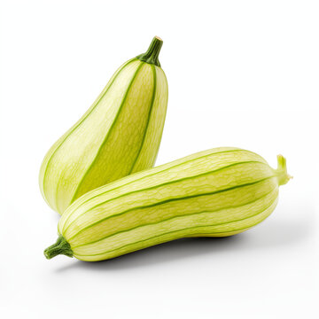 Pointed gourd