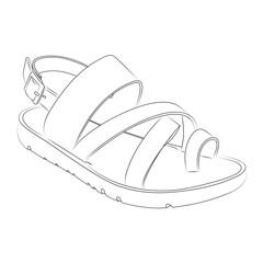 vector illustration of a shoe