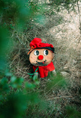 a small Tio de Nadal in woodland undergrowth