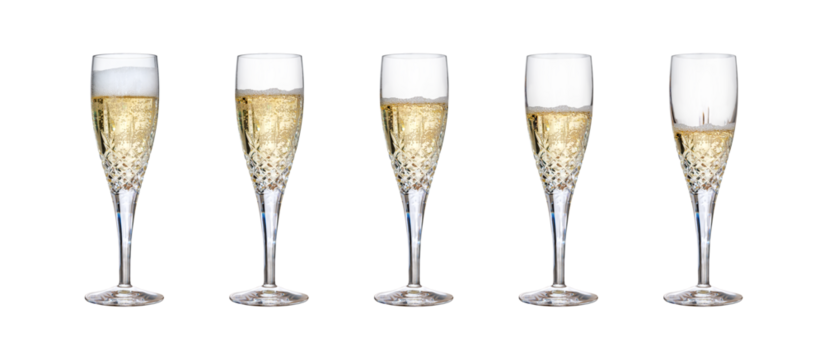 A collection of champagne glasses, off level, with, fizzy wine, as a birthday celebration or to celebrate the New Year with different amounts of fizzy bubbles isolated on a transparent background.