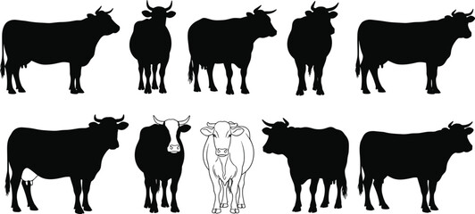 Silhouette collection of cows and cattle in various standing poses, farm livestock vector set for agriculture, rural design, illustration, and projects