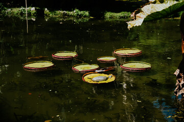 Ogród botaniczny © Katarzyna