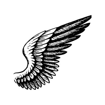 Asas de um Anjo