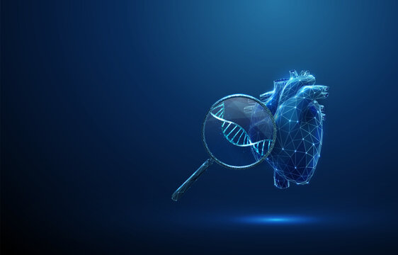 3d blue heart with magnifying glass and DNA inside. Genetic research, hereditary disease detection, biotechnology, healthcare innovation concept.