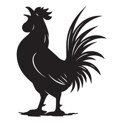 Rooster isolated on white background. Proud rooster or cockerel bird silhouette standing vector design © Md Robin Hasan