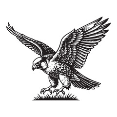 Eagle in the form of an eagle. Flying Eagle Bird Vector Illustration With Wide Wings On White Background