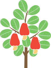 Cashew nut tree logo. Isolated cashew nut tree on white background