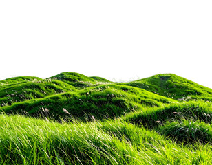 Lush green rolling hills covered in grass against black background