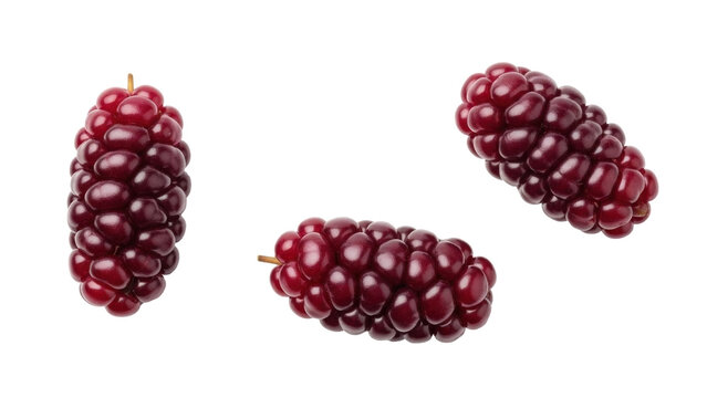 Isolated Mulberry fruit clusters, deep red, close-up studio shot, fresh and vibrant looking