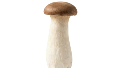 Eryngii Mushroom Portrait: A solitary Eryngii mushroom stands tall, its unique form and earthy hues capturing the essence of fresh, organic culinary delight.