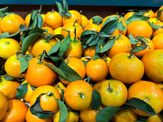 Fresh vibrant tangerines with leaves offer healthy snack option during winter season