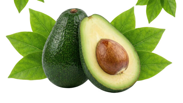 Freshness of Avocado: Close-up of two avocados, one whole and another halved, displaying the creamy green flesh, against a backdrop of fresh, verdant leaves.