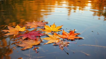 Watch vibrant autumn leaves gently float on a serene pond, creating mesmerizing ripples and reflections in the water as they drift in the fall breeze, showcasing nature's beauty - Powered by Adobe