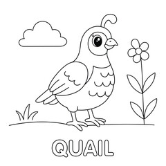Cute Cartoon Quail Coloring Page