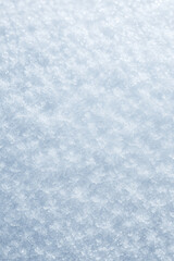 Obraz premium Close-up of fresh snowflakes covering a winter surface