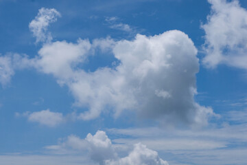 A fluffy white cloud appears to resemble the shape of a snail, with its rounded body and extended form standing out against the bright blue sky