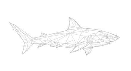 Geometric shark illustration in black lines against a white background design art