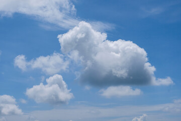 A large, fluffy white cloud appears to resemble the shape of a capybara, floating gently against a bright blue sky