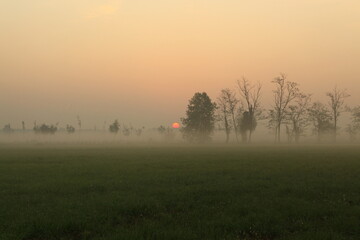 the fog at dawn in the cultivated fields of the countryside