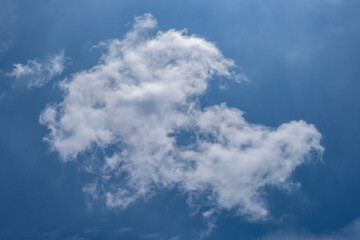 A soft, fluffy white cloud floating against a clear blue sky, creating a calm and minimal natural scene.