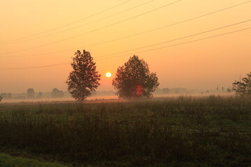 the fog at dawn in the cultivated fields of the countryside