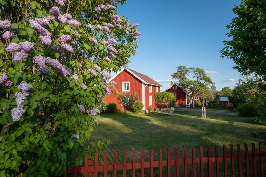 Red wooden house in Sm&aring;land in Sweden