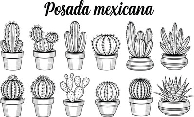 Black and white cactus and succulent illustration with “Posada mexicana” text — Mexican botanical decor for design, study, and prints