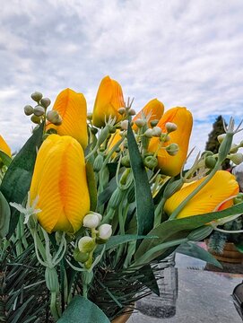 Bukiet ż&oacute;łtych tulipan&oacute;w.