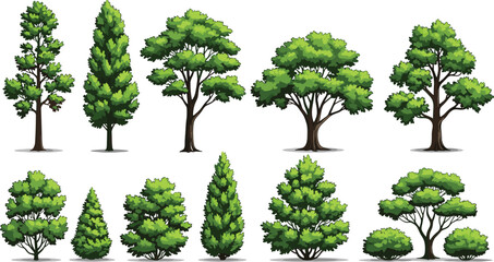 Set of Green Trees, Bushes, and Shrubs Isolated on White Background for Landscape Design, Park, Garden, and Nature Scene Vector Illustration