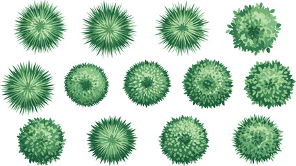 Top View Bushes and Shrubs Collection Isolated on White Background for Architectural Plans, Landscape Layout, Gardening, and Map Element Design Vector