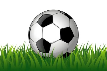 soccer ball on grass