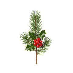 christmas tree branch with red berries isolated on white background
