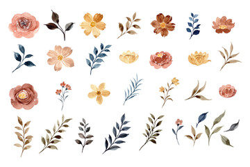 Vintage Watercolor Floral Element Collection